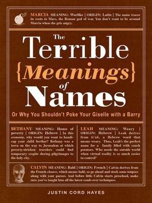 cover image of The Terrible Meanings of Names